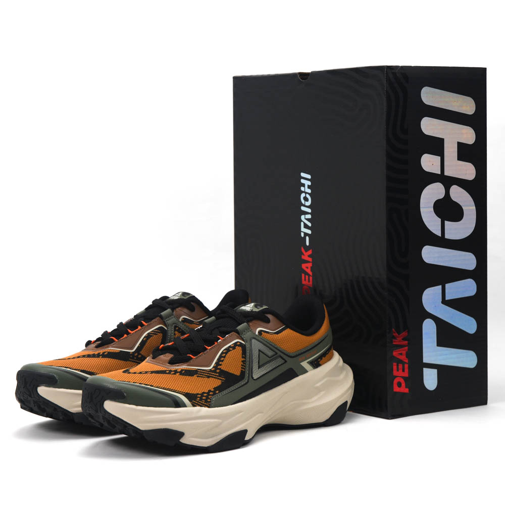 Taichi Outdoor Shoes