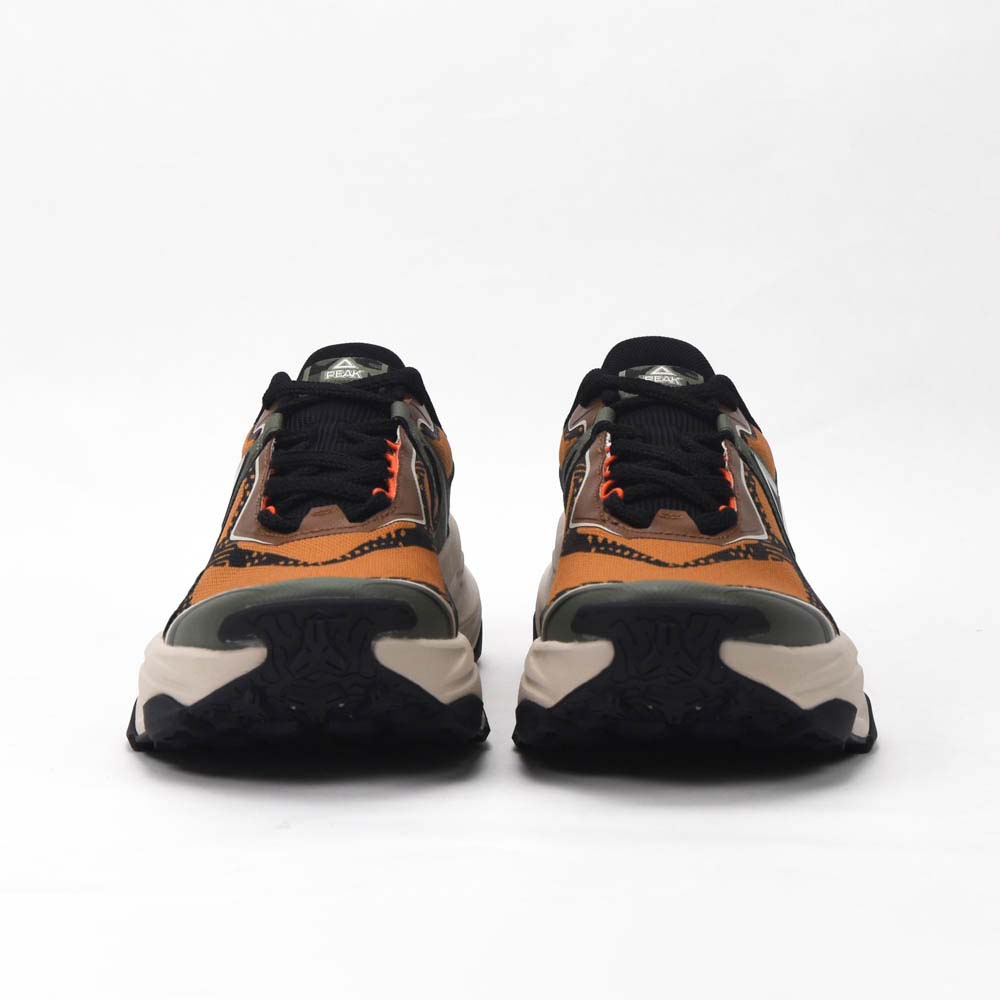 Taichi Outdoor Shoes